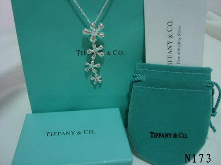 tiffany Necklace-045
